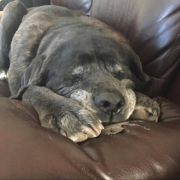 Meet your Posher, Jan - Picture 5 of 7